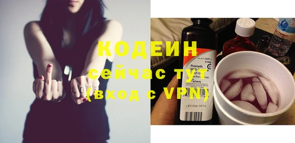 прущий лед Алзамай