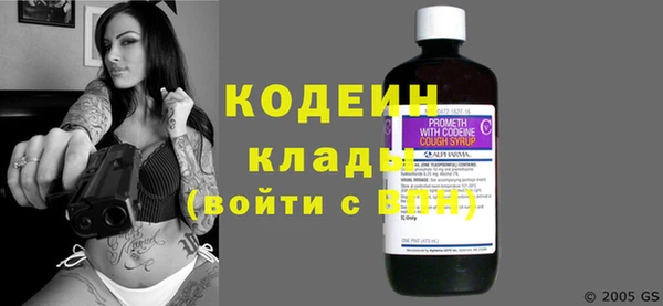 прущий лед Алзамай