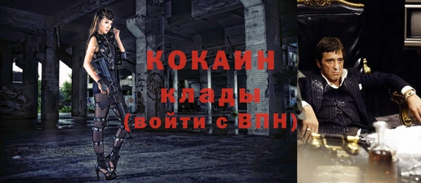 прущий лед Алзамай