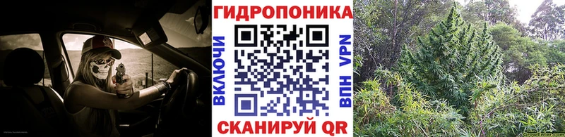 Шишки марихуана OG Kush  Кимры 